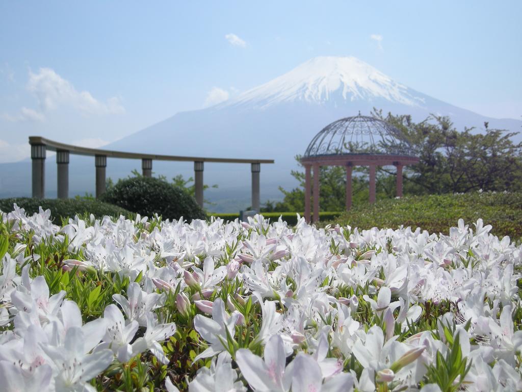 Hotel Mt. Fuji Yamanakako Extérieur photo